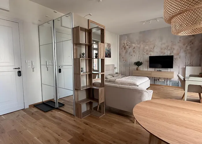 Apartment Old Town Poznan